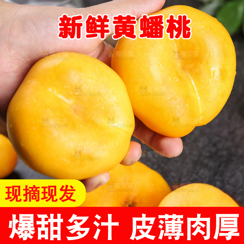 手拿着的黄蟠桃