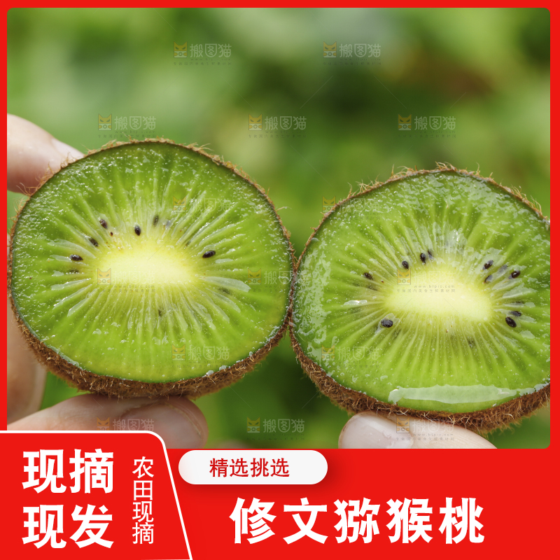 手里拿着切开的绿心猕猴桃