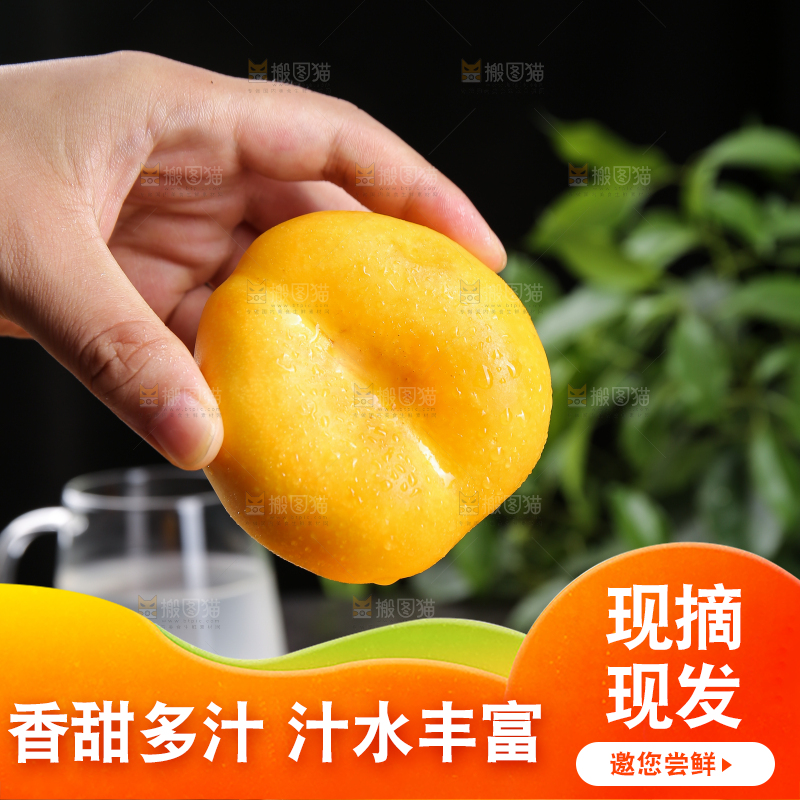 手拿着的黄蟠桃
