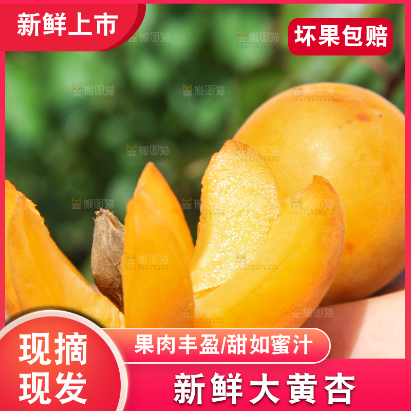 手里拿着切开的黄杏