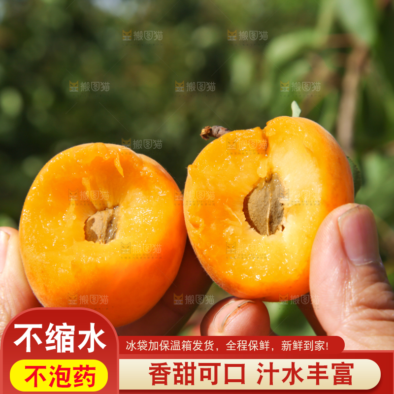 手拿着掰开的黄杏