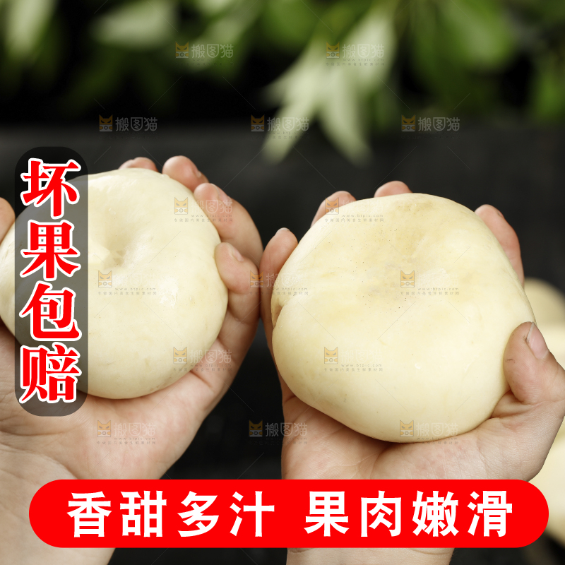 手上拿着新鲜白蟠桃