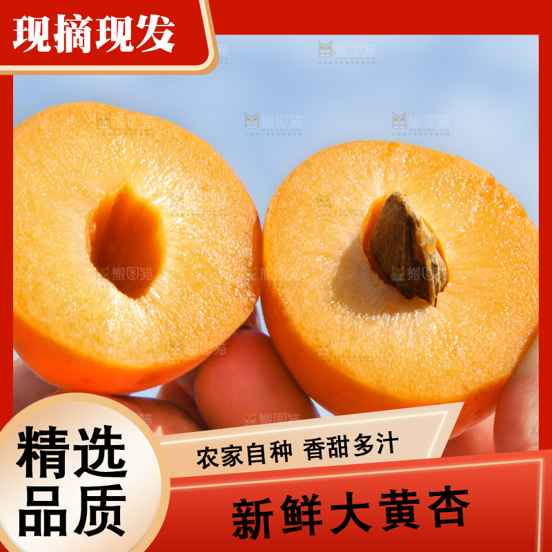 手里拿着切开的黄杏