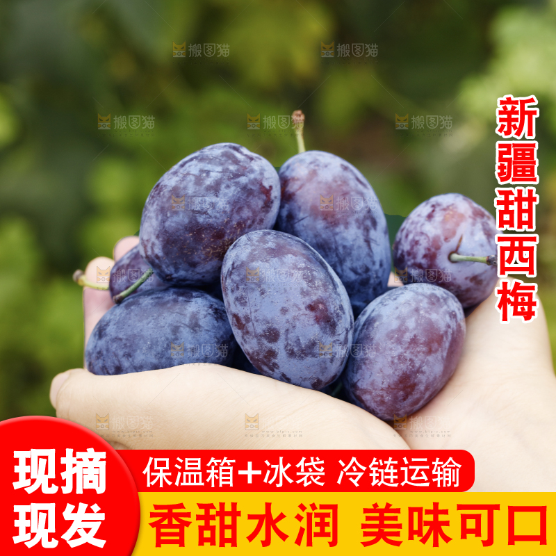 手上放着新疆大西梅