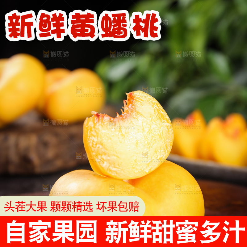深底上的黄蟠桃果肉