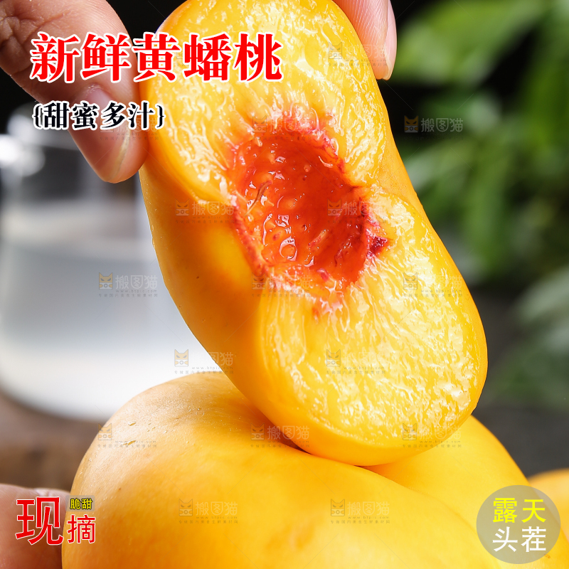 手拿着的黄蟠桃果肉
