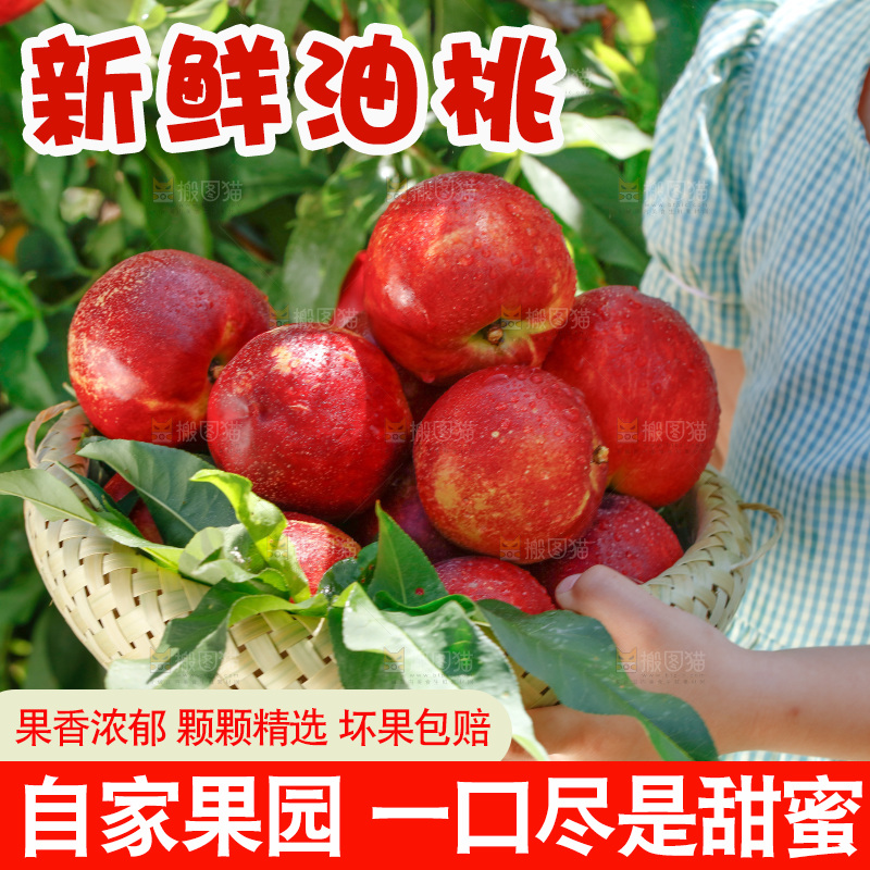 手拿着一筐新鲜油桃
