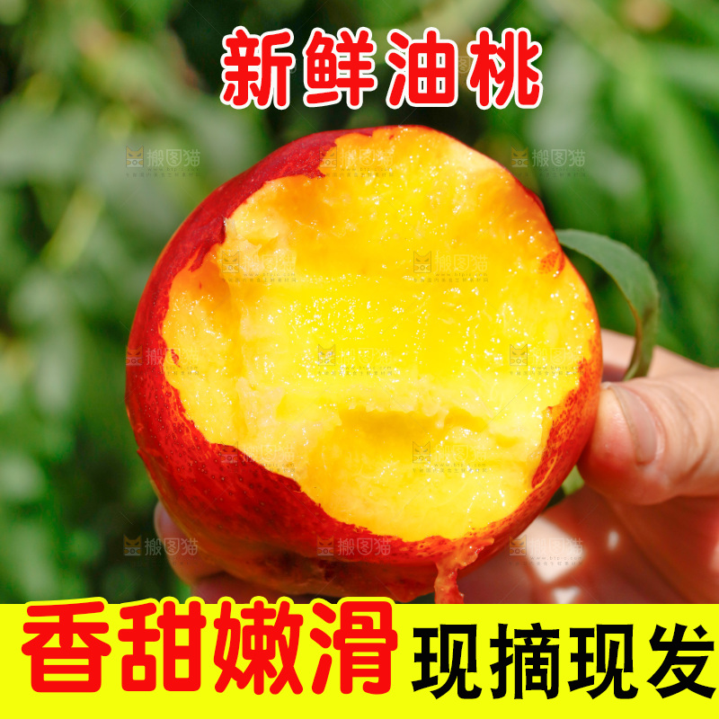 手拿着咬开的黄心油桃