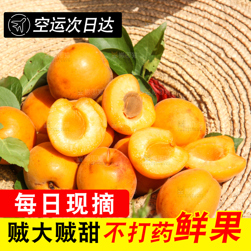 帽子里装着的黄杏