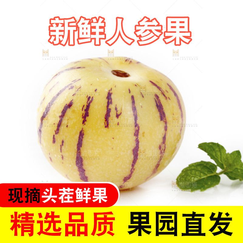 白底上的人参果
