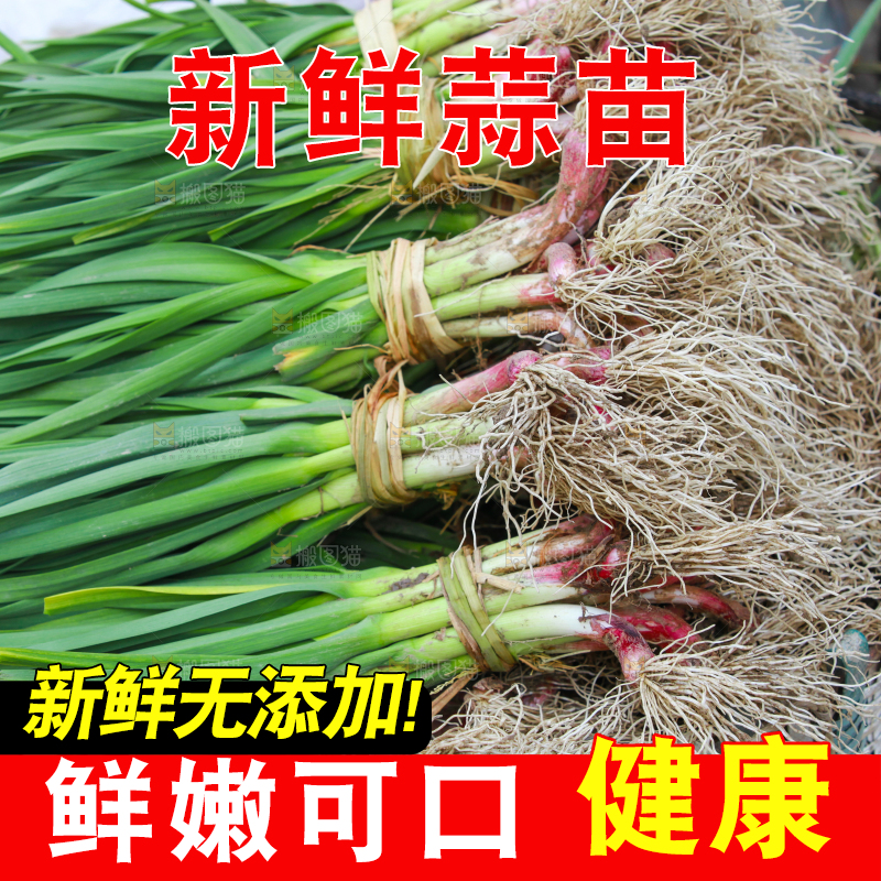 篮子里堆放着新鲜蒜苗