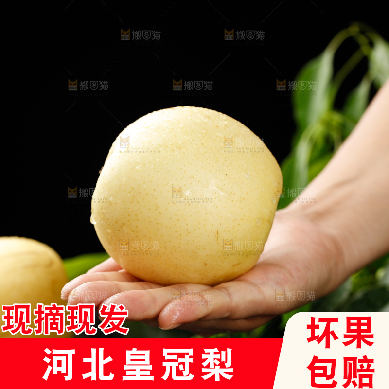 手里放着新鲜皇冠梨
