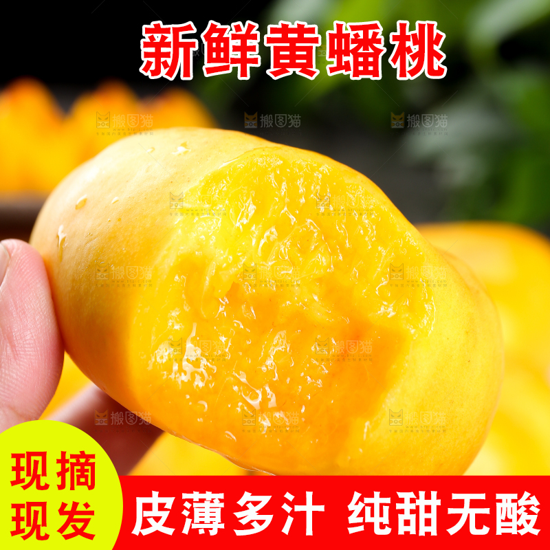 手上拿着黄蟠桃果肉