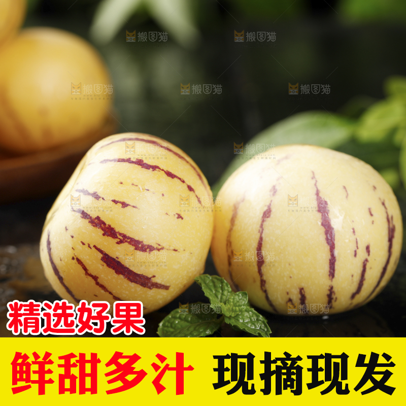 黑石板上的人参果