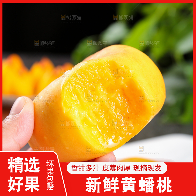 手上拿着黄蟠桃果肉