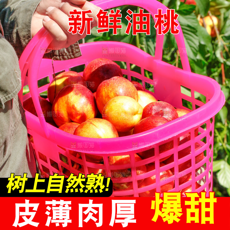 手里提着一篮新鲜油桃