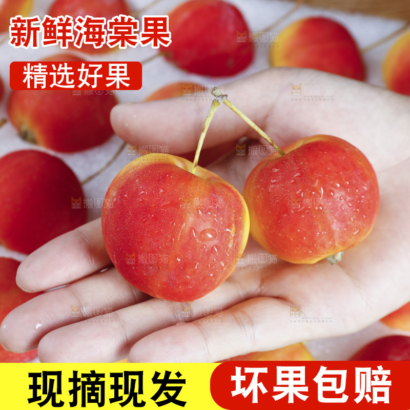 手上放着新鲜海棠果
