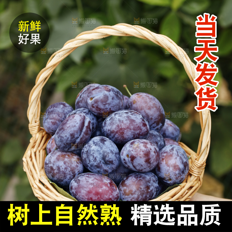 手里拿着一篮新鲜西梅