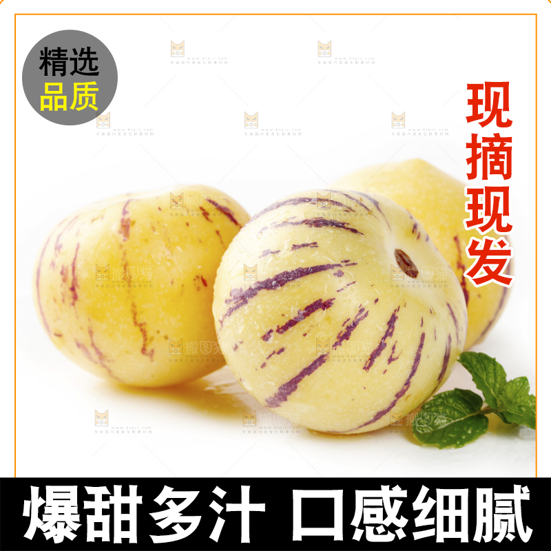 白底上的人参果