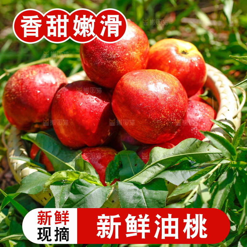 一篮现摘的新鲜油桃