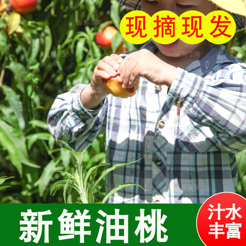 小孩正在吃着油桃