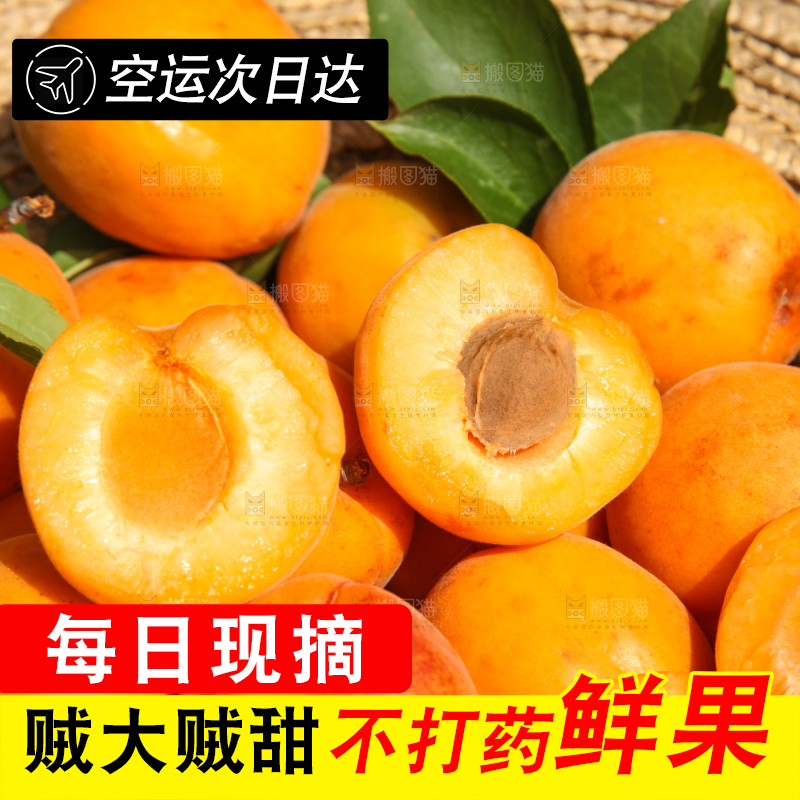 帽子里装着的黄杏