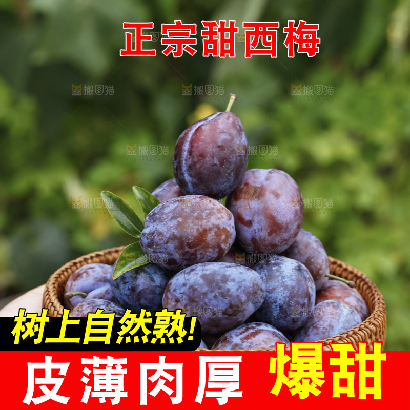 手上拿着一筐新鲜大西梅