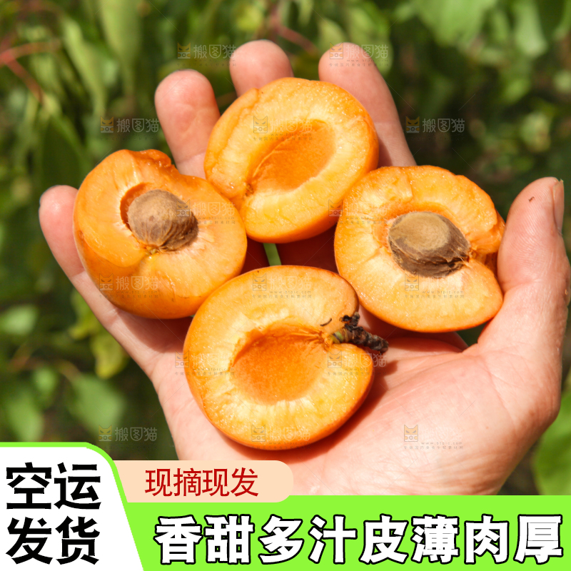 手拿着掰开的黄杏