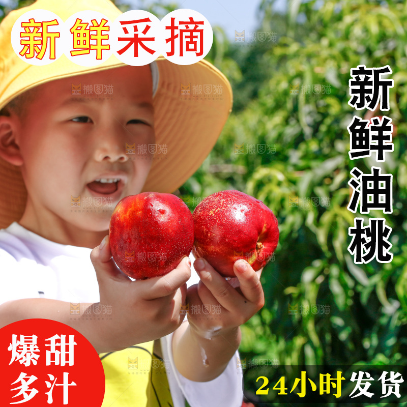 小孩手里的黄心油桃