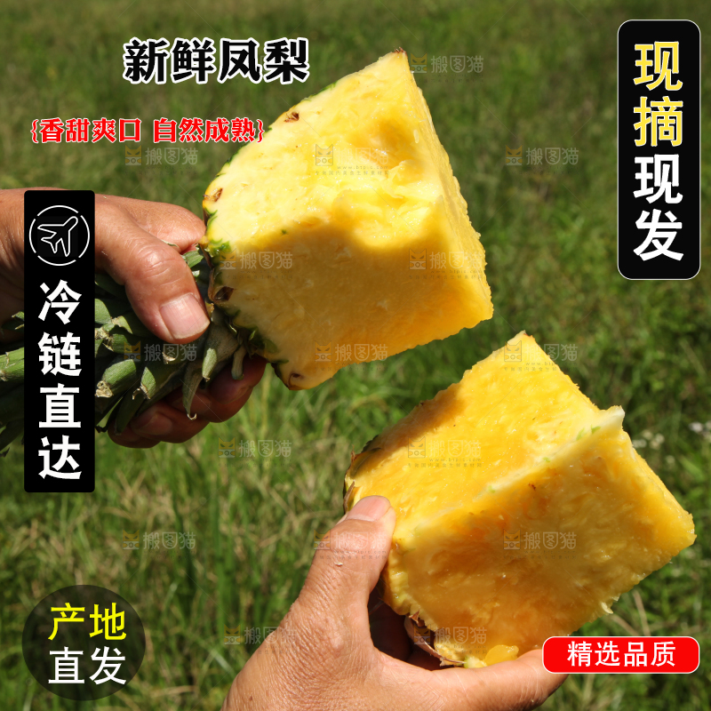 手上拿着削皮的凤梨