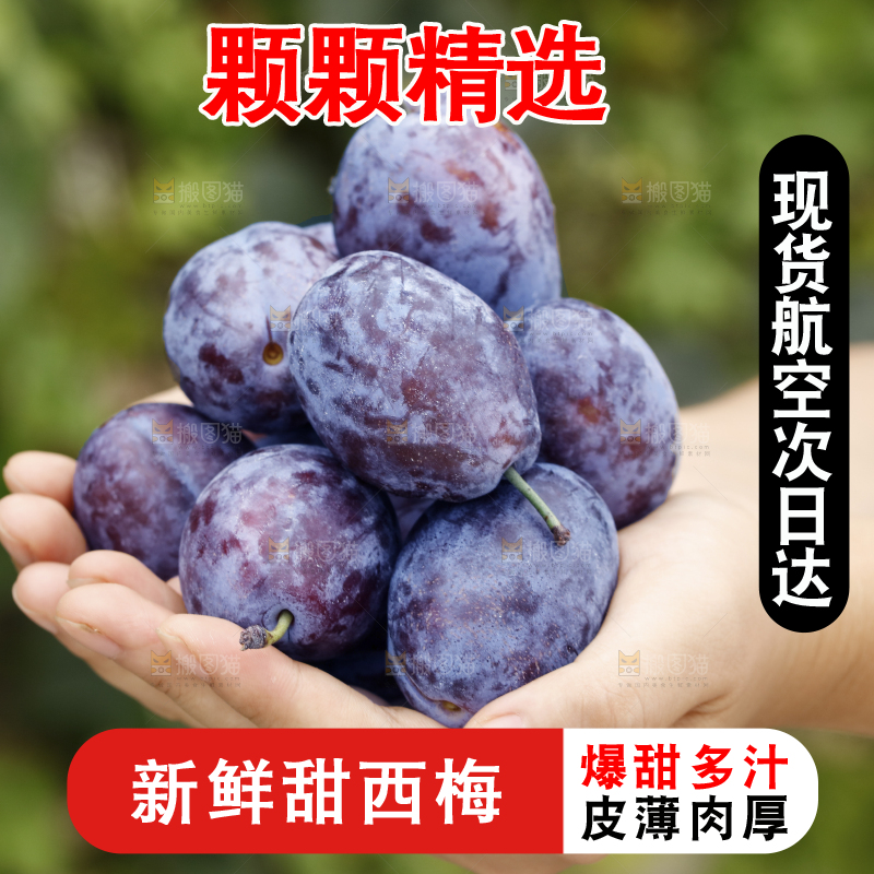 手上放着新疆大西梅