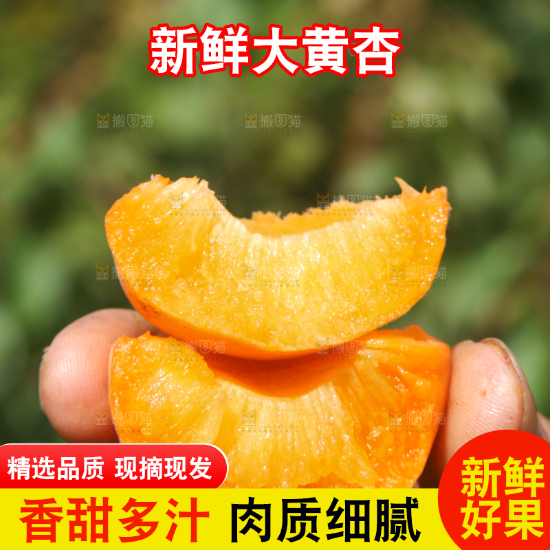 手拿着掰开的黄杏