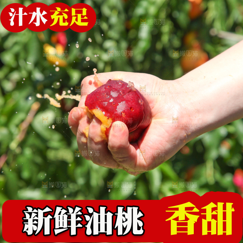 手里爆汁的油桃