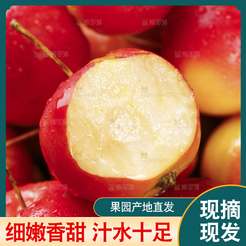 堆放着的东北海棠果