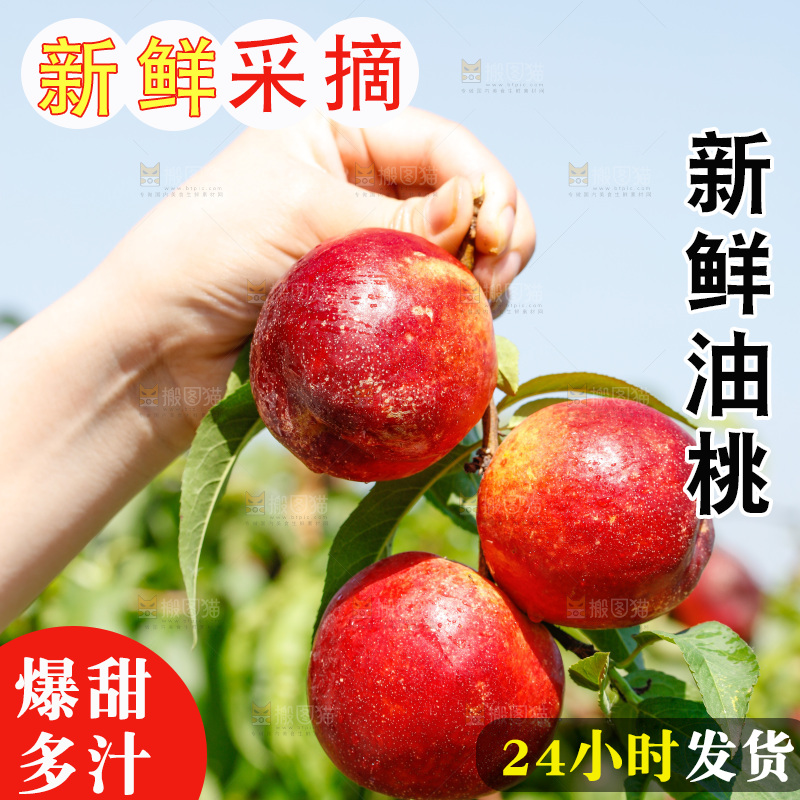 手拿着一串新鲜油桃