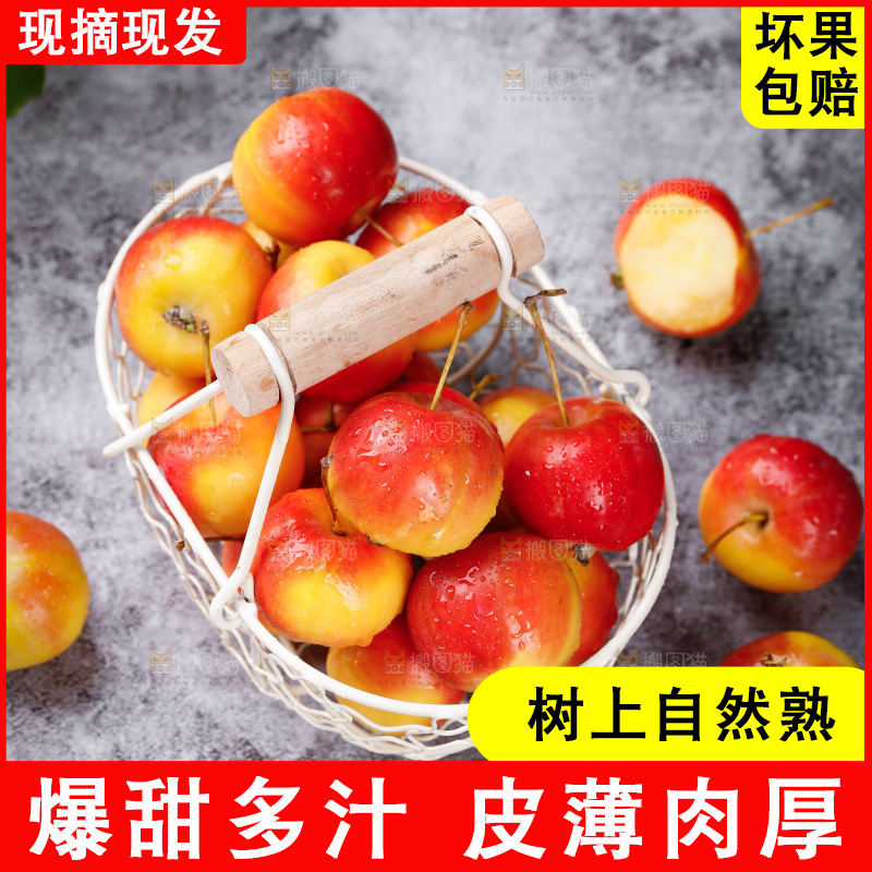 深底上的一篮东北海棠果