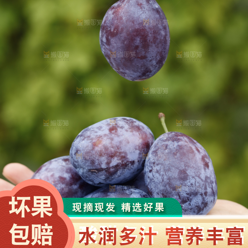 手上放着新疆大西梅