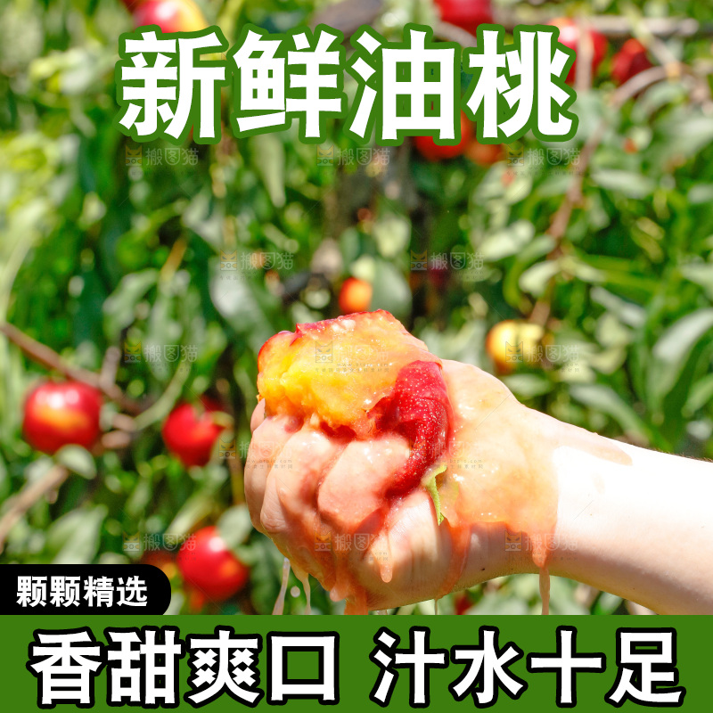 手里爆汁的黄心油桃
