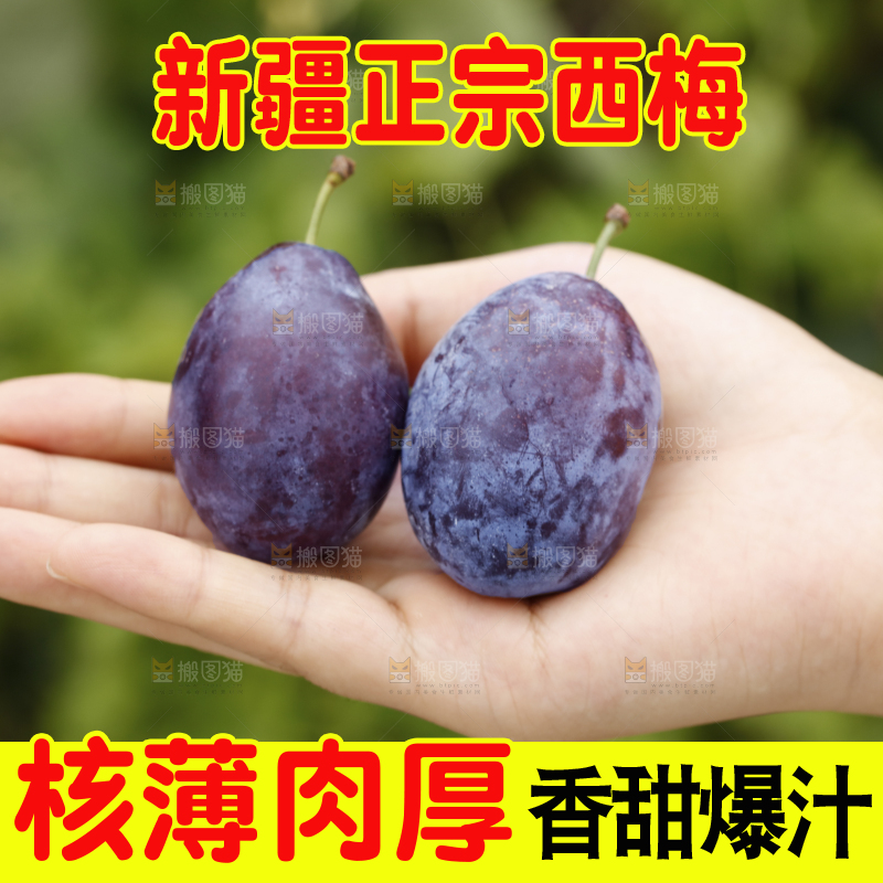 手上放着新疆大西梅