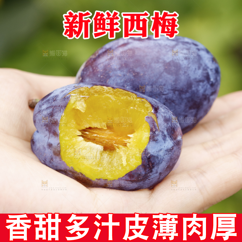 手上放着新疆大西梅