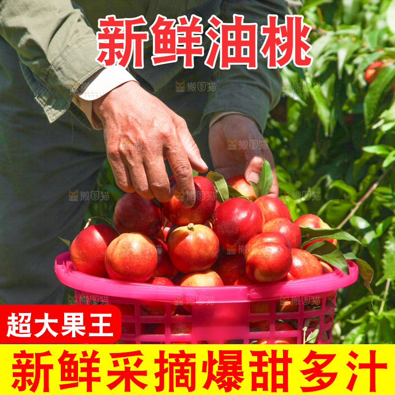 一篮现摘的新鲜油桃