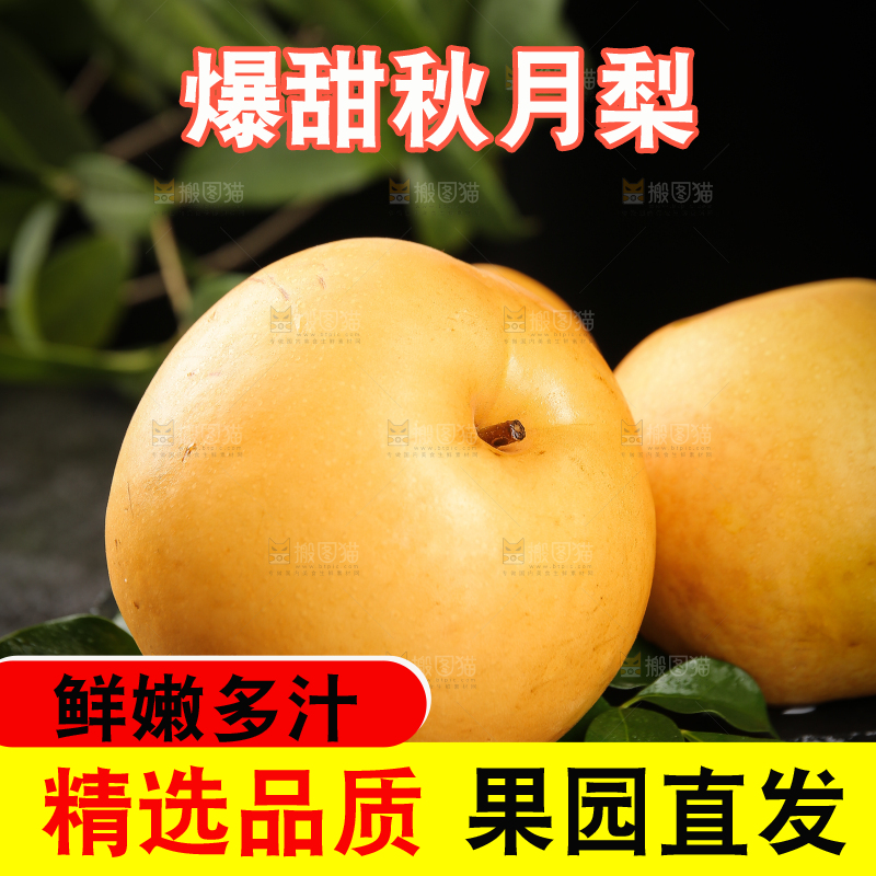 黑底上放着秋月梨