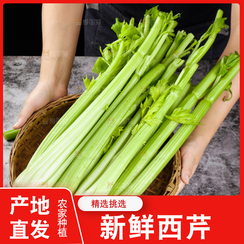 手拿着一篮新鲜大西芹