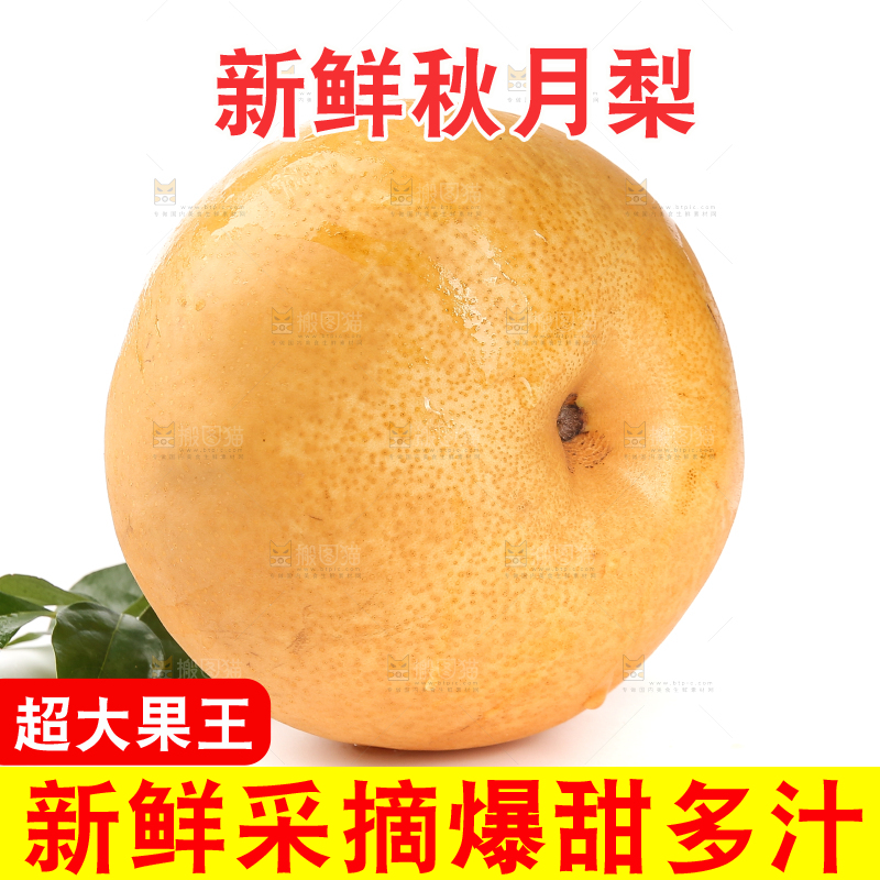 白底上放着的秋月梨