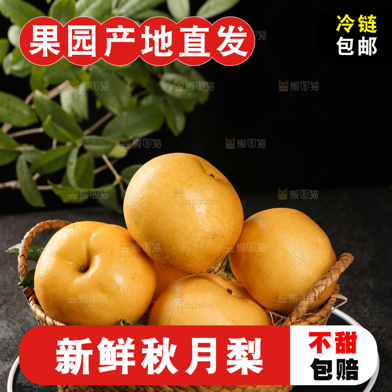 黑底上放着一篮秋月梨
