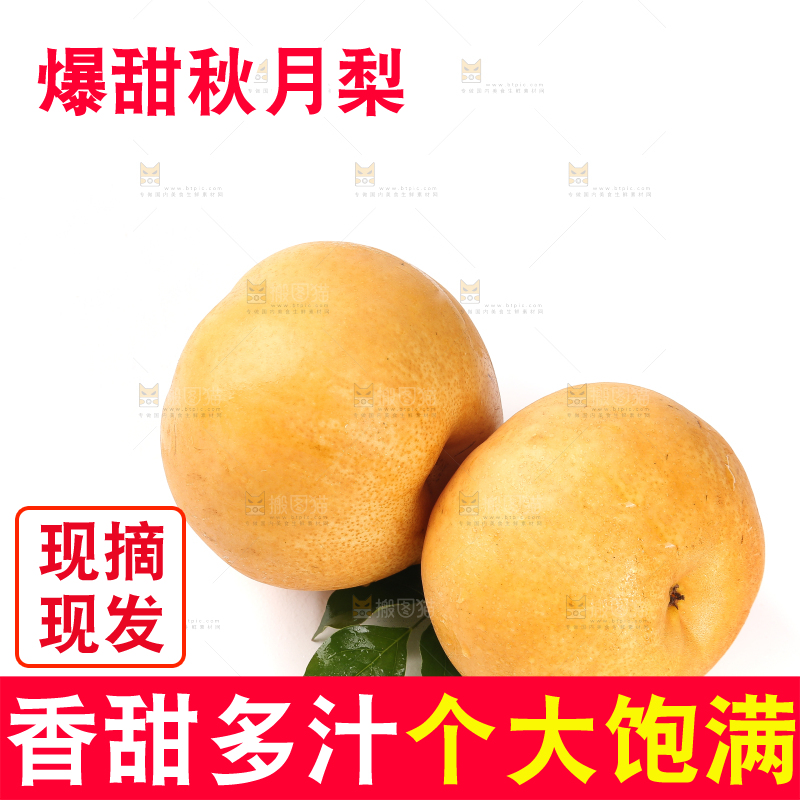 白底上放着的秋月梨