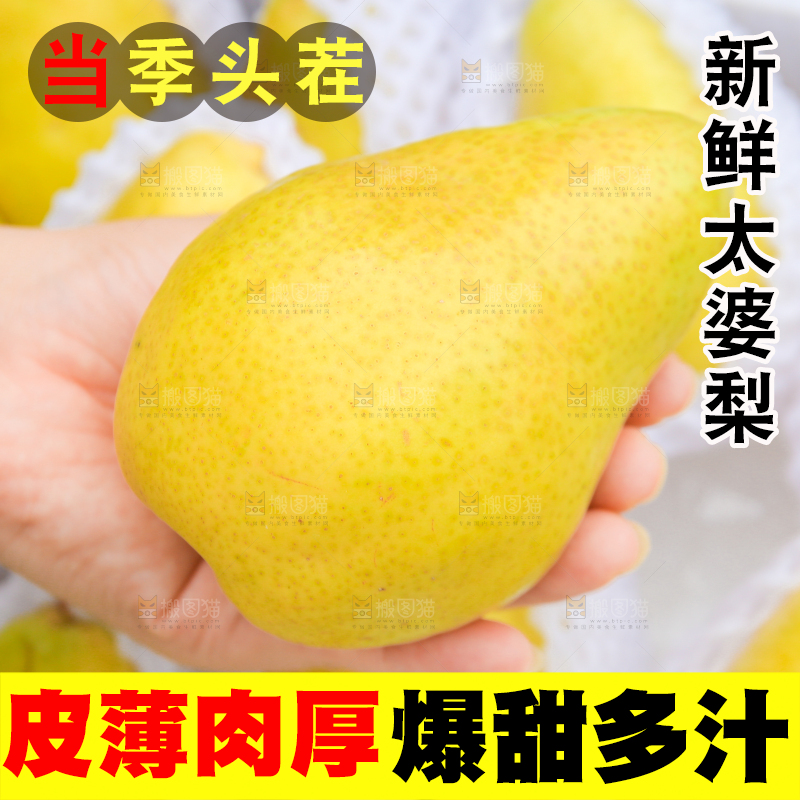 手里拿着烟台太婆梨