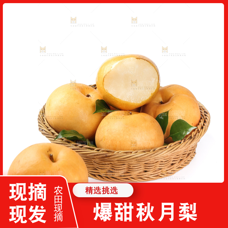 白底上的一篮秋月梨