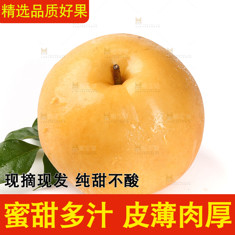 白底上放着的秋月梨