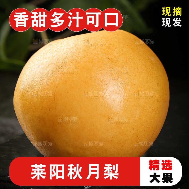 黑底上摆放着秋月梨